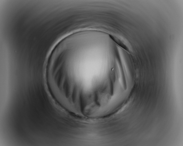 X0000094931530200712271542