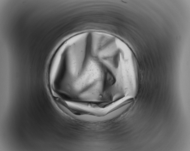 X0000094931531200712271542