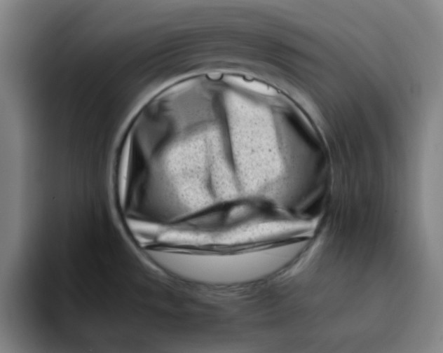 X0000094931533200712271542