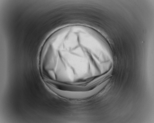 X0000094931535200712271542