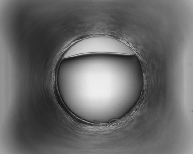 X0000094940005200711291030