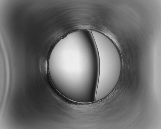 X0000094940013200711291030