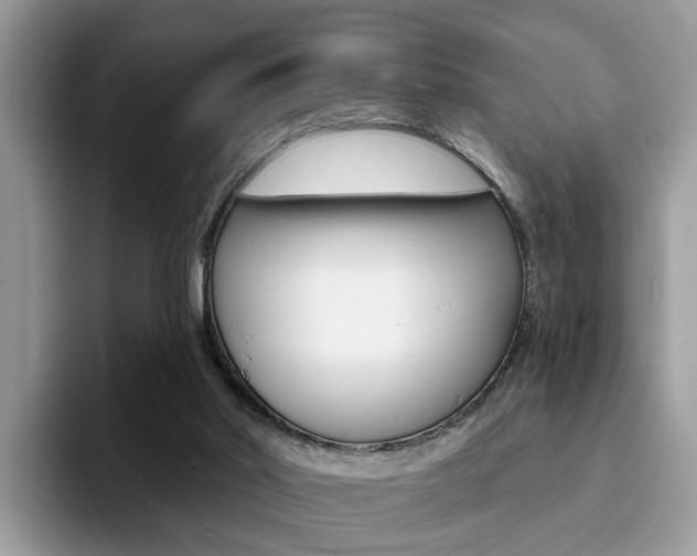 X0000094940014200711291030
