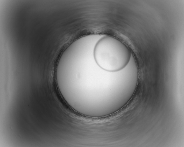 X0000094940018200711291030