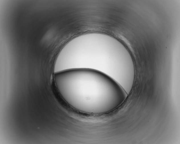 X0000094940020200711291030