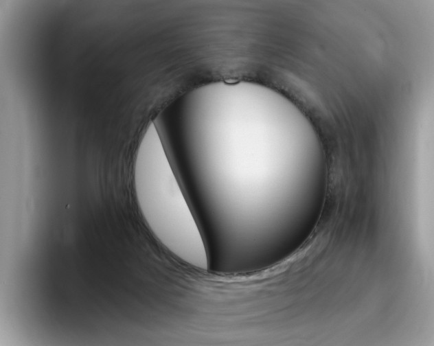 X0000094940025200711291030