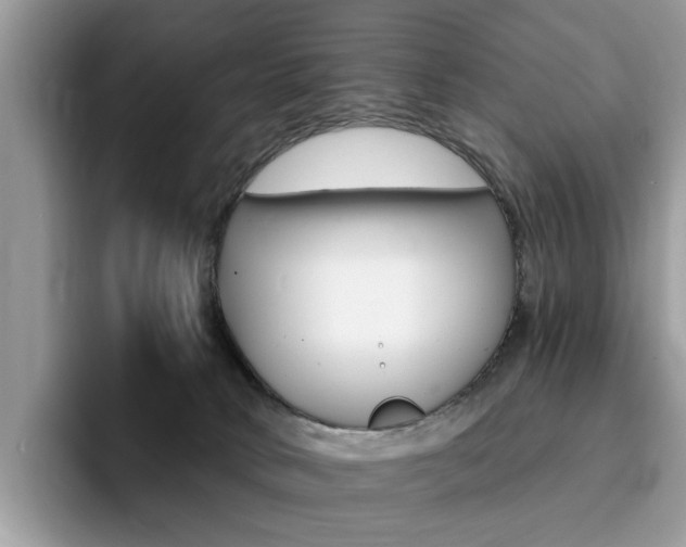 X0000094940034200711291030