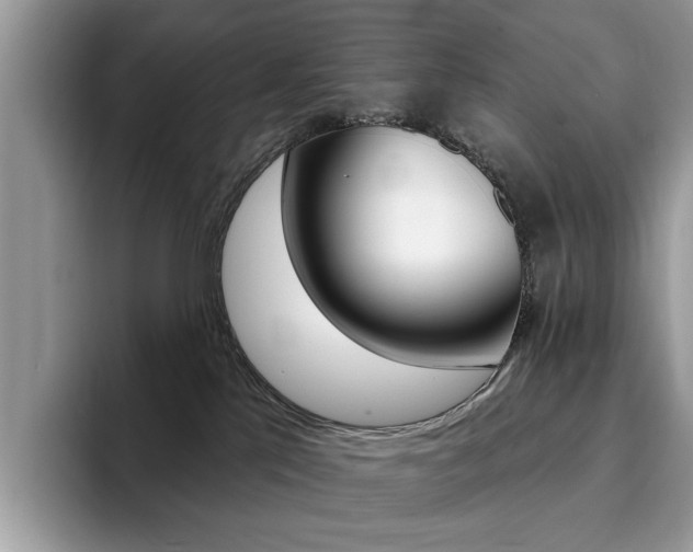 X0000094940041200711291030