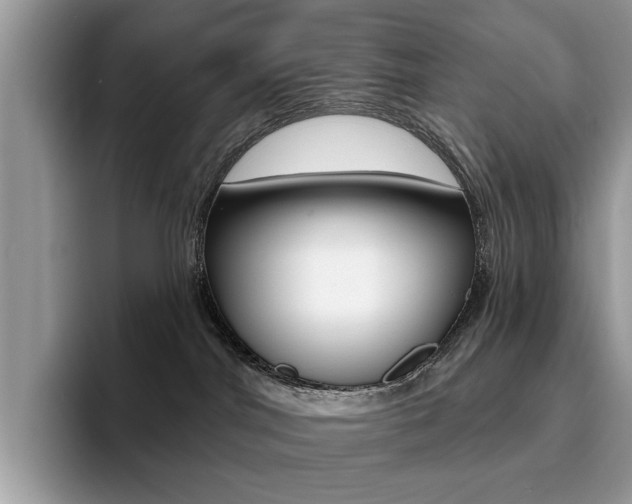 X0000094940044200711291030