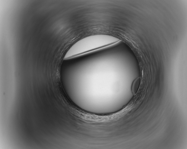 X0000094940048200711291030