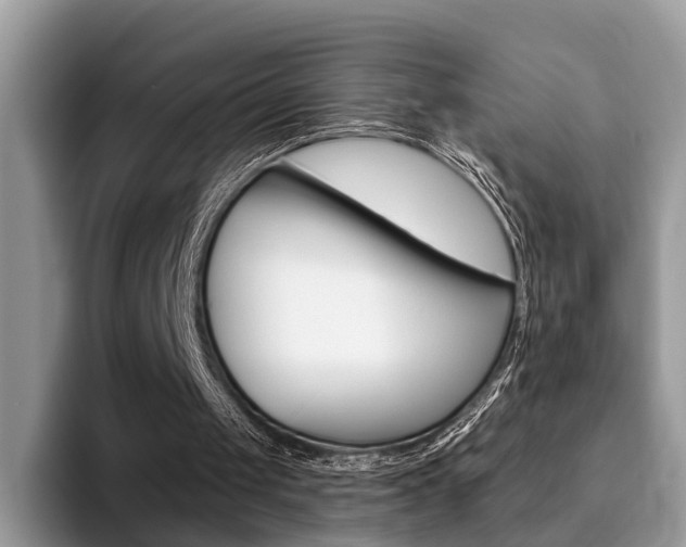 X0000094940049200711291029