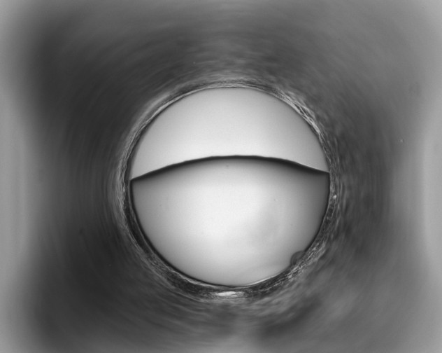 X0000094940053200711291029