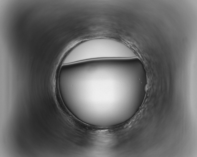 X0000094940054200711291029