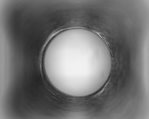 X0000094940056200711291029