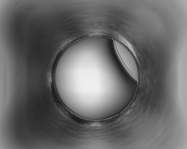 X0000094940059200711291029