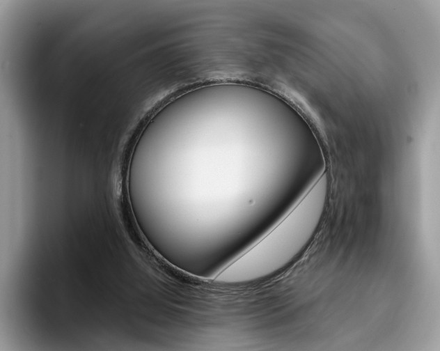 X0000094940060200711291029