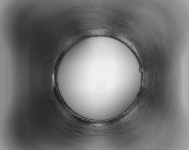 X0000094940061200711291029