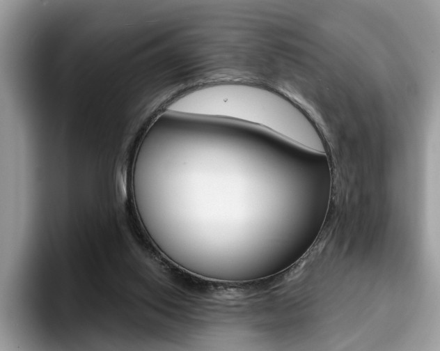 X0000094940062200711291029