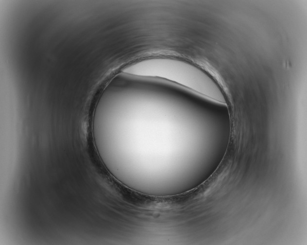 X0000094940063200711291029