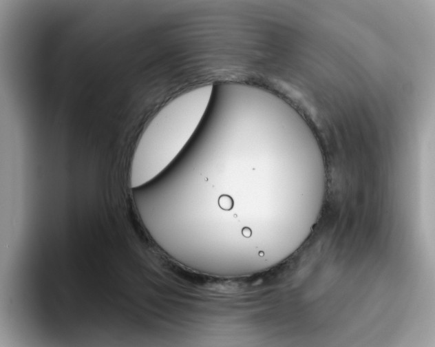 X0000094940069200711291029