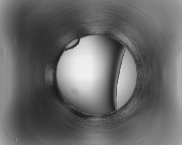 X0000094940071200711291029