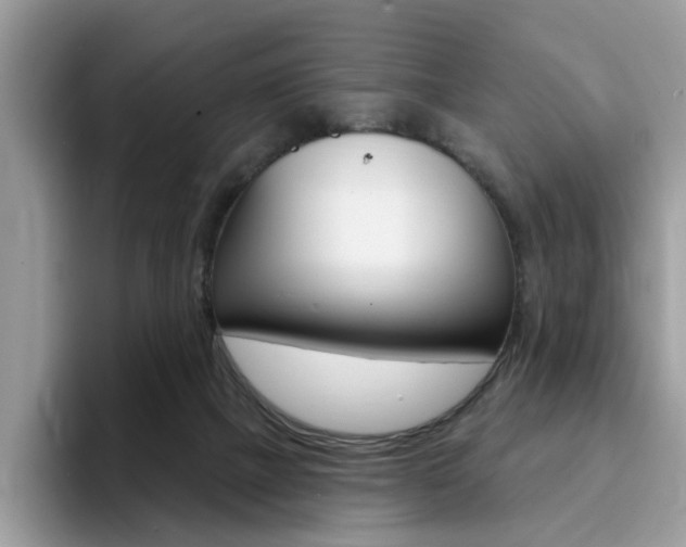 X0000094940073200711291029