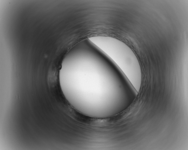 X0000094940081200711291029
