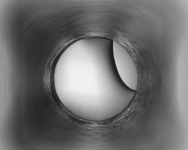 X0000094940098200711291029