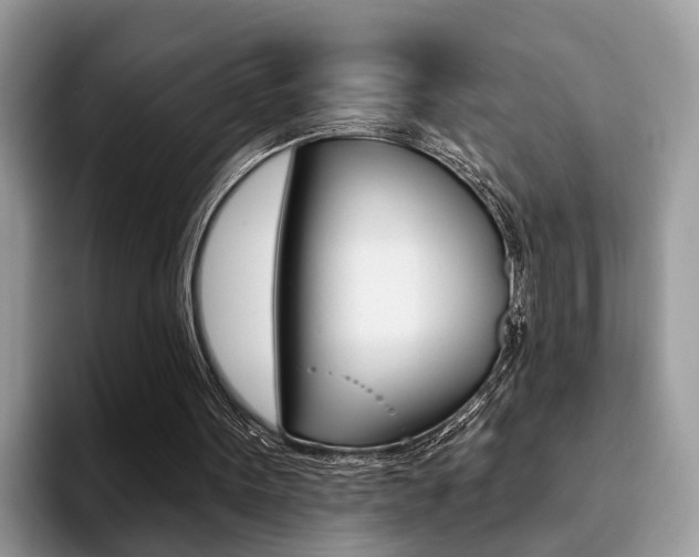 X0000094940099200711291029