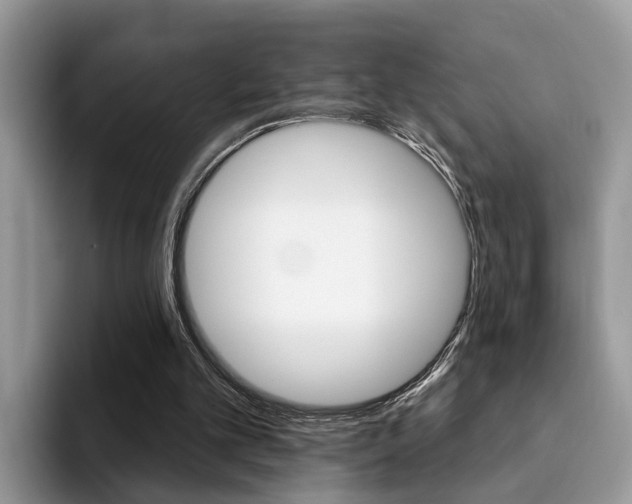 X0000094940101200711291029