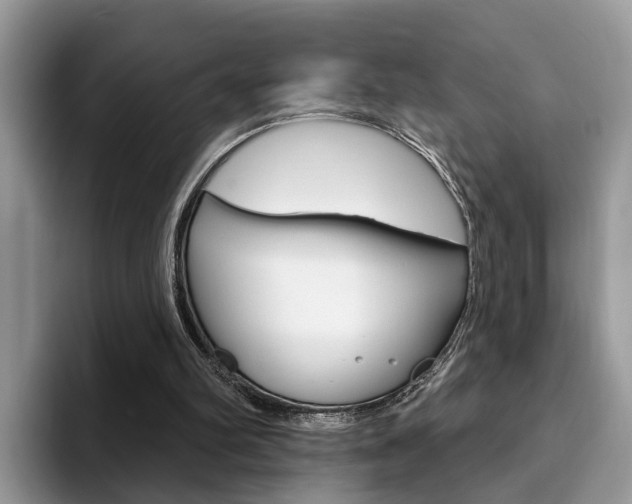 X0000094940102200711291029