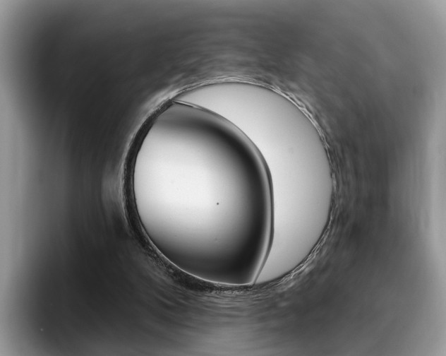 X0000094940104200711291029