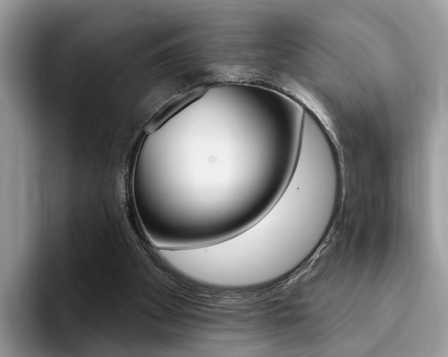 X0000094940105200711291029