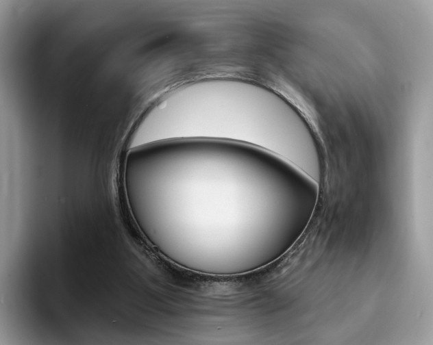 X0000094940107200711291029