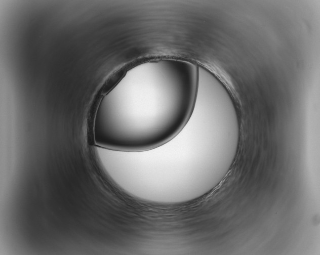 X0000094940108200711291029