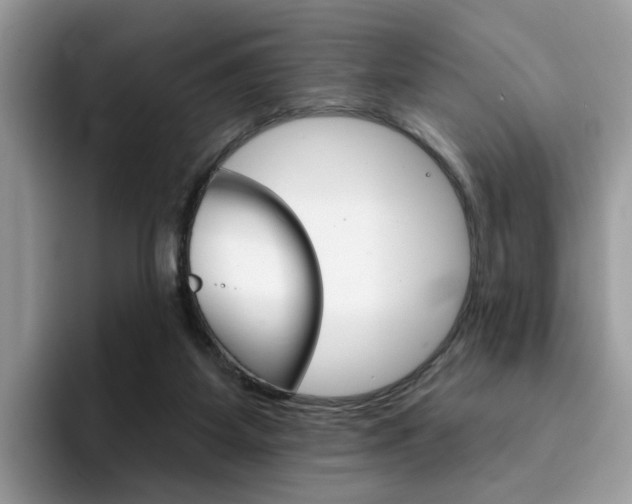 X0000094940115200711291029