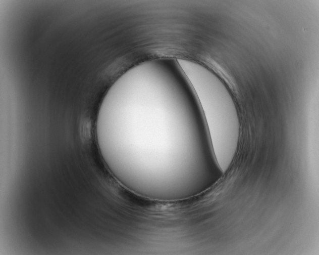X0000094940117200711291029