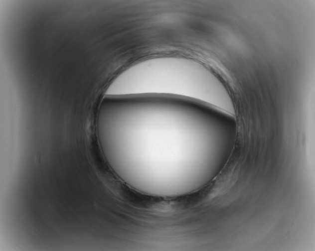 X0000094940119200711291029