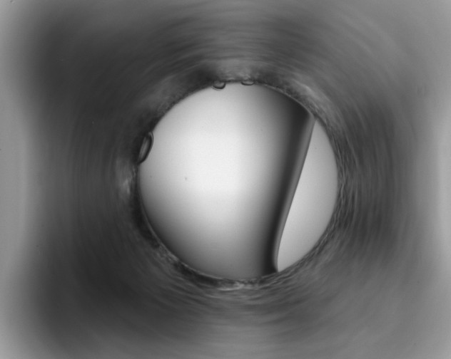 X0000094940125200711291029