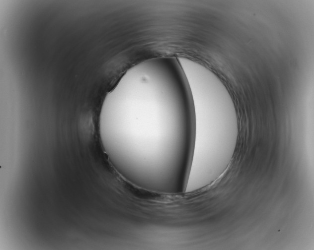 X0000094940128200711291029