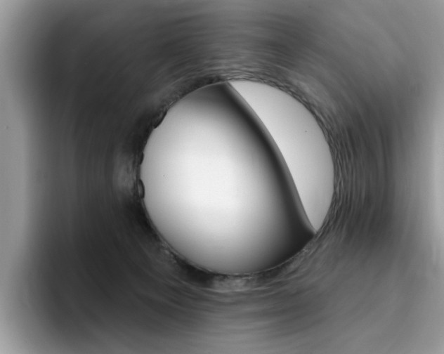 X0000094940129200711291029