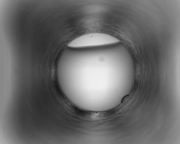 X0000094940130200711291029
