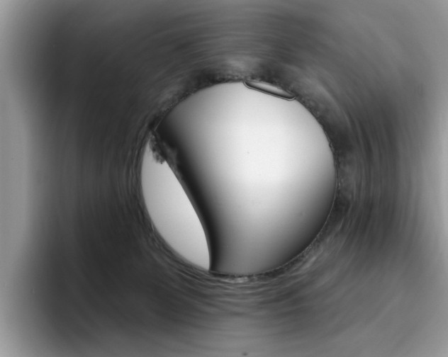 X0000094940131200711291029