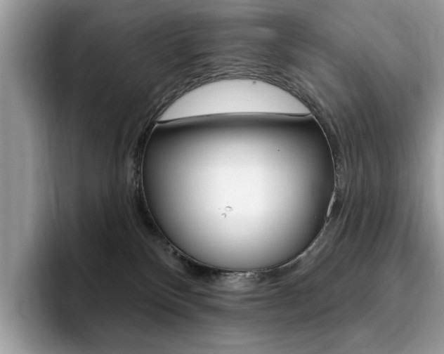 X0000094940136200711291029