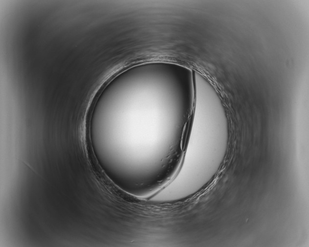 X0000094940148200711291028