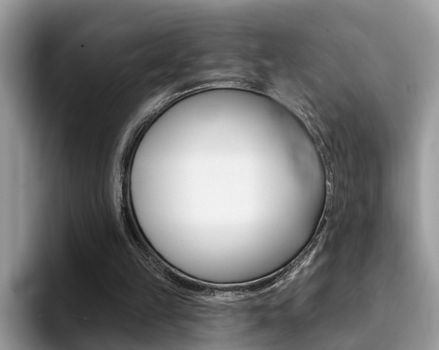 X0000094940149200711291028