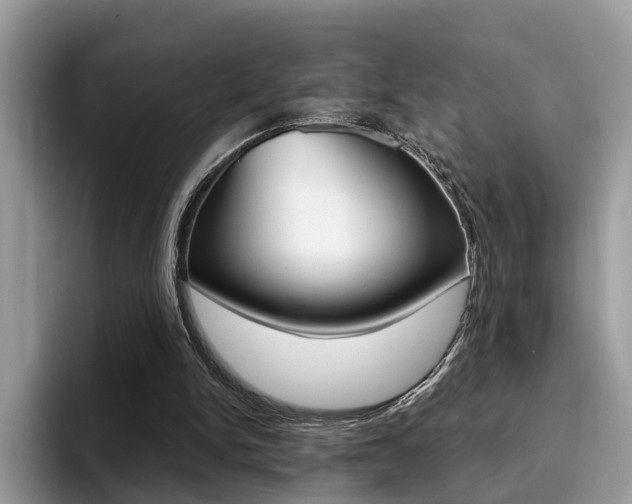 X0000094940150200711291028