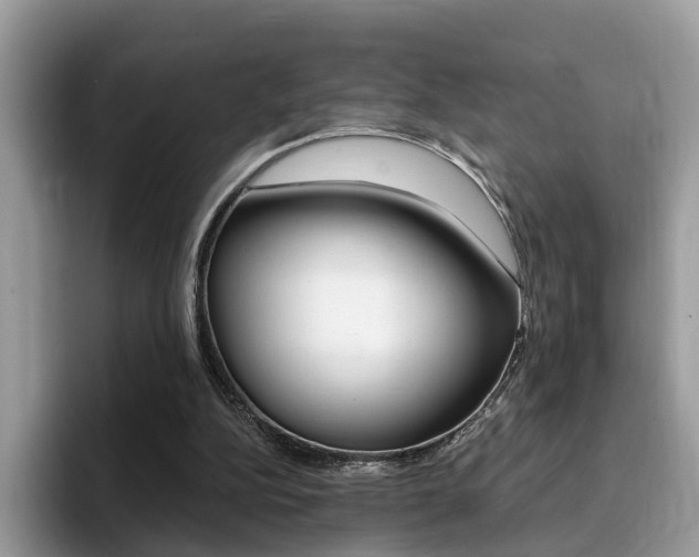 X0000094940152200711291028