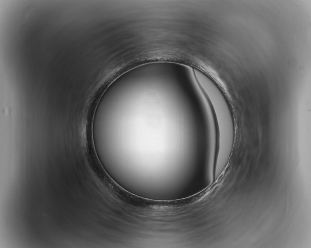 X0000094940154200711291028