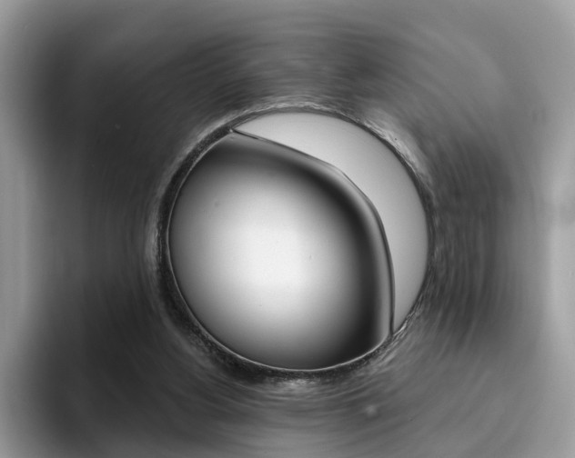 X0000094940156200711291028